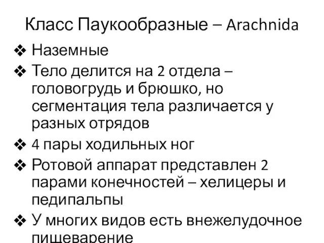 Класс Паукообразные – Arachnida Наземные Тело делится на 2 отдела –