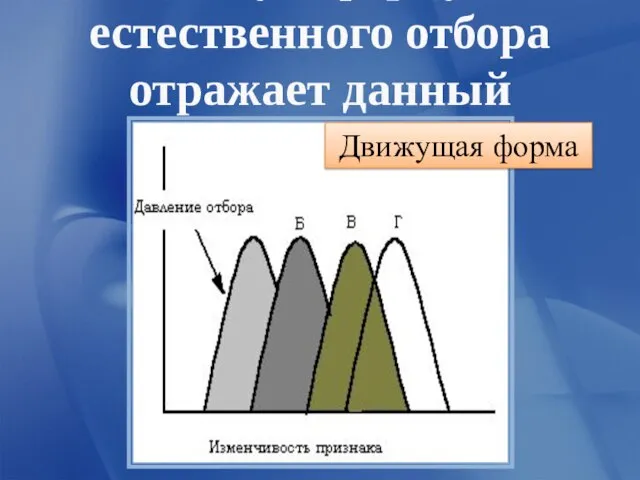 Какую форму естественного отбора отражает данный график? Движущая форма