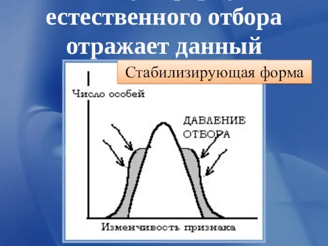 Какую форму естественного отбора отражает данный график? Стабилизирующая форма