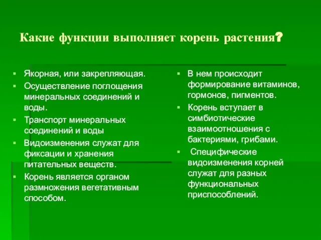 Какие функции выполняет корень растения? Якорная, или закрепляющая. Осуществление поглощения минеральных