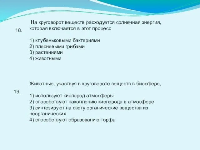 18. На круговорот веществ расходуется солнечная энергия, которая включается в этот