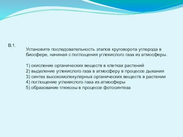 В.1. Установите последовательность этапов круговорота углерода в биосфере, начиная с поглощения