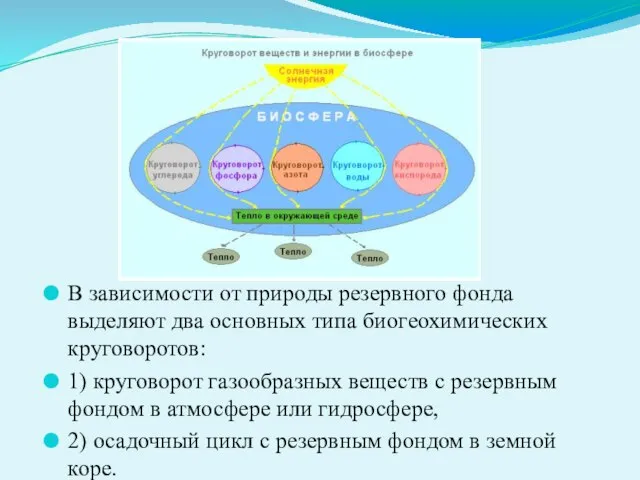 В зависимости от природы резервного фонда выделяют два основных типа биогеохимических