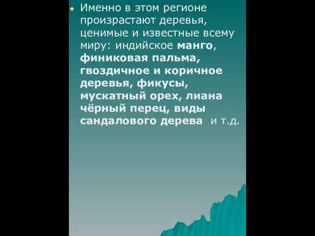 Именно в этом регионе произрастают деревья, ценимые и известные всему миру: