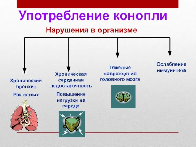 Хронический бронхит Рак легких Хроническая сердечная недостаточность Повышение нагрузки на сердце