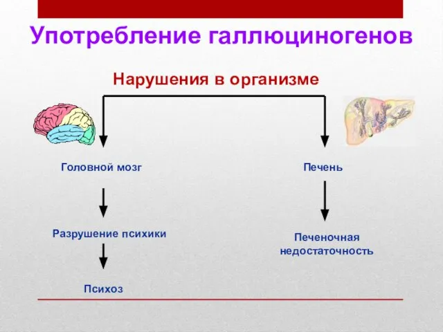 Головной мозг Психоз Печень Печеночная недостаточность Разрушение психики Нарушения в организме Употребление галлюциногенов