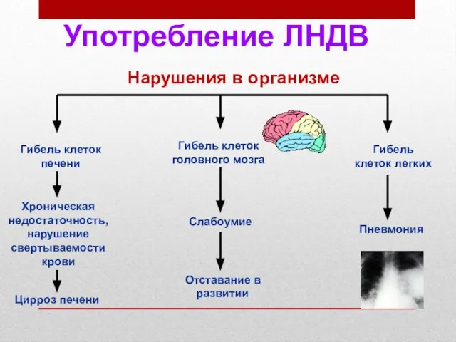 Гибель клеток печени Хроническая недостаточность, нарушение свертываемости крови Цирроз печени Гибель