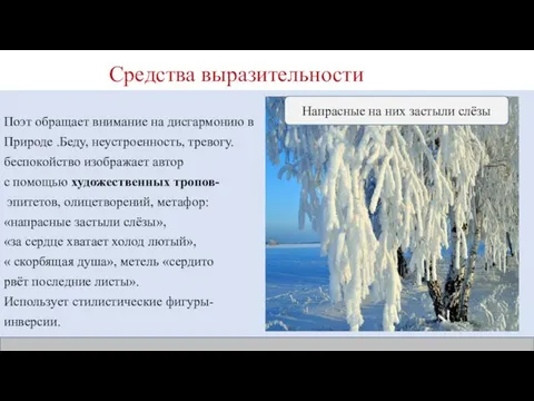 Средства выразительности Поэт обращает внимание на дисгармонию в Природе .Беду, неустроенность,