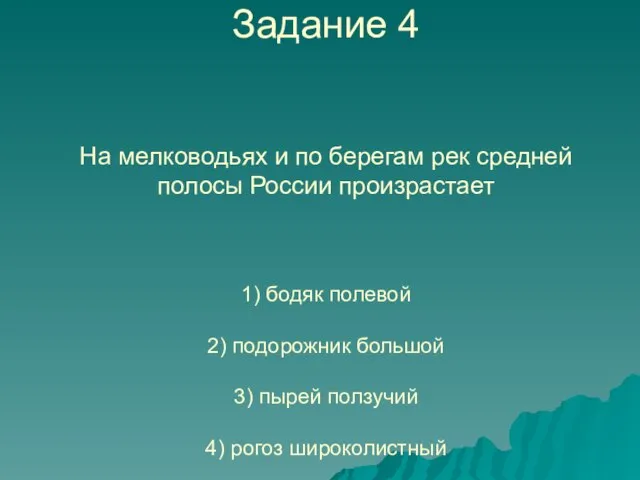 Задание 4 На мелководьях и по берегам рек средней полосы России