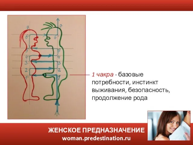 ЖЕНСКОЕ ПРЕДНАЗНАЧЕНИЕ woman.predestination.ru 1 чакра - базовые потребности, инстинкт выживания, безопасность, продолжение рода