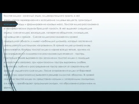 Толстая кишка – конечный отдел пищеварительного тракта, в ней завершается переваривание