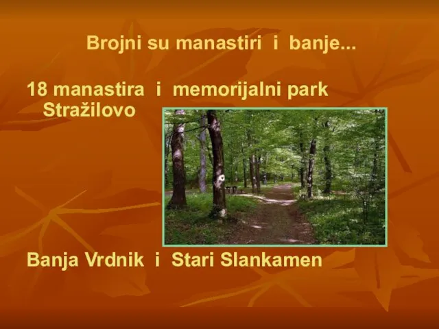 Brojni su manastiri i banje... 18 manastira i memorijalni park Stražilovo Banja Vrdnik i Stari Slankamen