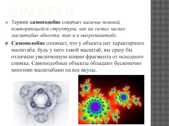 ФРАКТАЛ Термин самоподобие означает наличие тонкой, повторяющейся структуры, как на самых