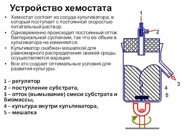 Устройство хемостата Хемостат состоит из сосуда-культиватора, в который поступает с постоянной