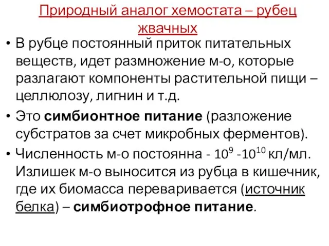 Природный аналог хемостата – рубец жвачных В рубце постоянный приток питательных