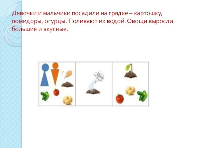 Девочки и мальчики посадили на грядке – картошку, помидоры, огурцы. Поливают