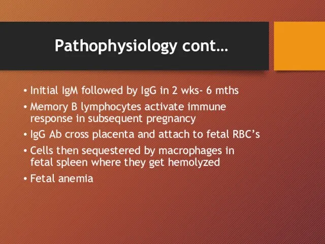 Pathophysiology cont… Initial IgM followed by IgG in 2 wks- 6