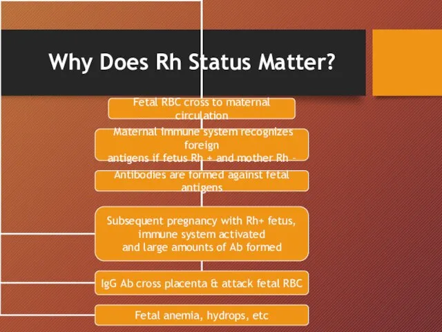 Why Does Rh Status Matter?