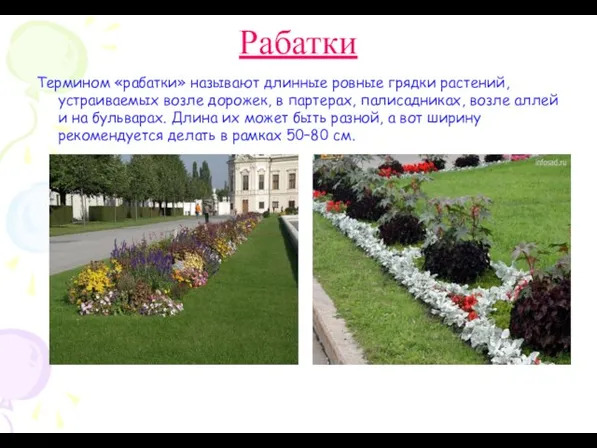 Рабатки Термином «рабатки» называют длинные ровные грядки растений, устраиваемых возле дорожек,