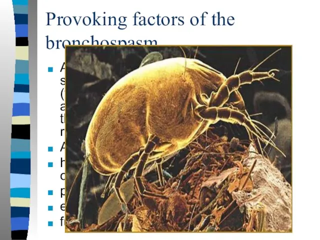 Provoking factors of the bronchospasm Allergen triggers (have a protein structure)