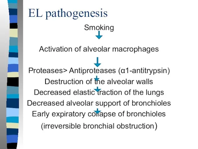 EL pathogenesis Smoking Activation of alveolar macrophages Proteases> Antiproteases (α1-antitrypsin) Destruction