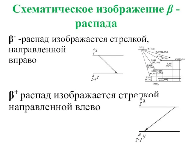 Схематическое изображение β -распада β- -распад изображается стрелкой, направленной вправо β+ распад изображается стрелкой, направленной влево