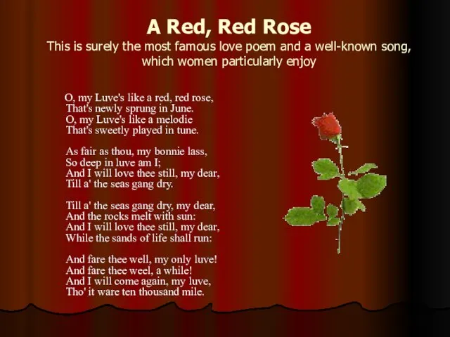 A Red, Red Rose This is surely the most famous love