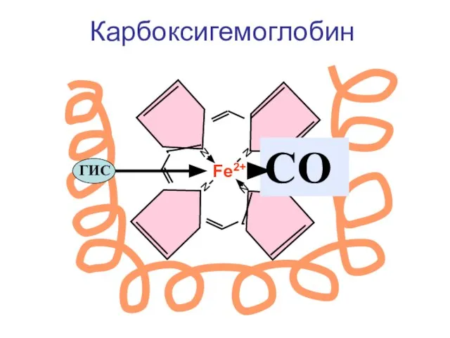 Карбоксигемоглобин N N N N Fe2+ ГИС СО