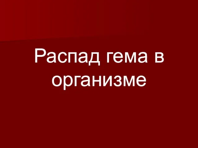 Распад гема в организме