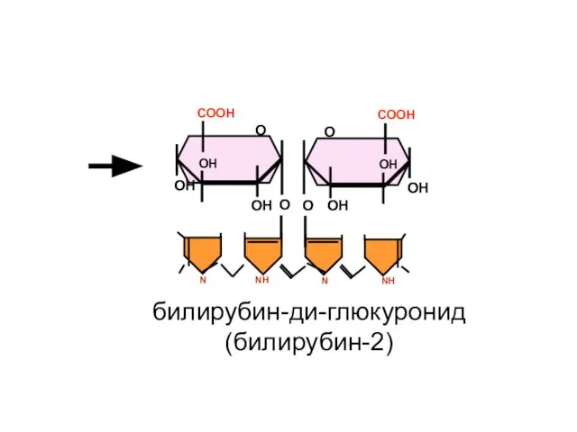 О СООН ОН ОН ОН О О СООН ОН ОН ОН О билирубин-ди-глюкуронид (билирубин-2)