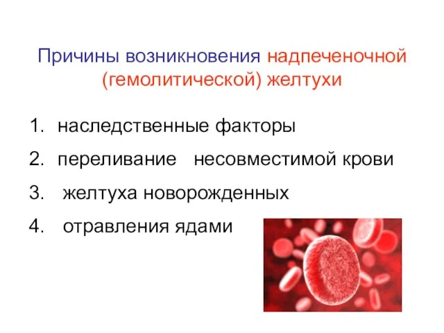 Причины возникновения надпеченочной (гемолитической) желтухи наследственные факторы переливание несовместимой крови желтуха новорожденных отравления ядами