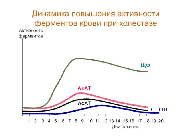 ЩФ Дни болезни Активность ферментов 1 2 3 4 5 6