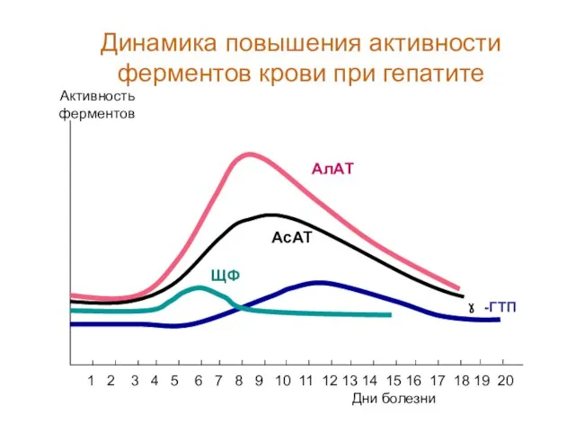 ЩФ Дни болезни Активность ферментов 1 2 3 4 5 6