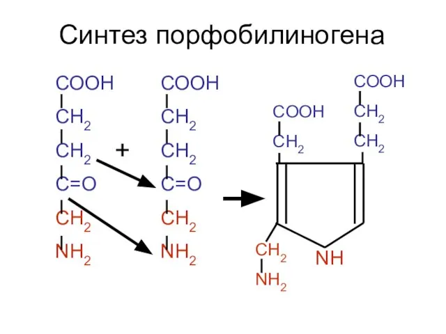 СООН СН2 СН2 С=О CH2 NH2 СООН СН2 СН2 С=О CH2