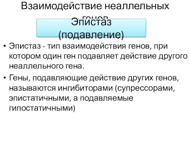 Взаимодействие неаллельных генов Эпистаз - тип взаимодействия генов, при котором один