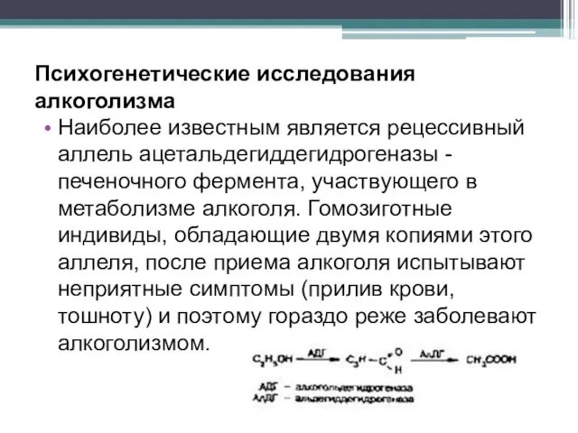 Психогенетические исследования алкоголизма Наиболее известным является рецессивный аллель ацетальдегиддегидрогеназы - печеночного