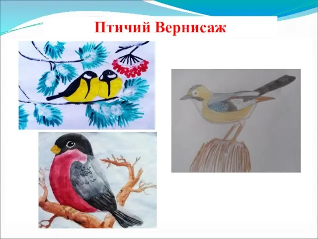 Птичий Вернисаж