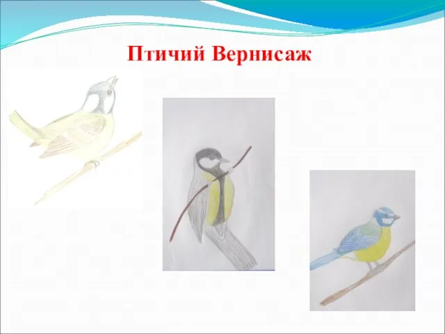 Птичий Вернисаж