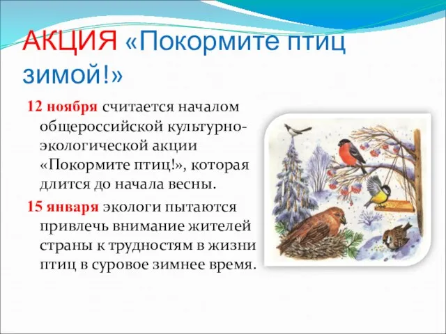 АКЦИЯ «Покормите птиц зимой!» 12 ноября считается началом общероссийской культурно-экологической акции