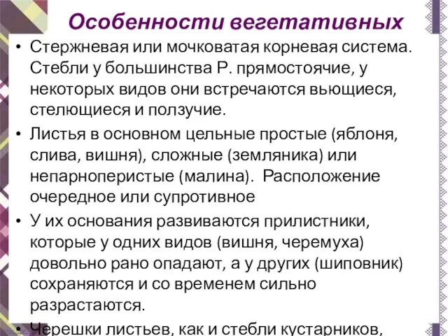 Особенности вегетативных органов Стержневая или мочковатая корневая система. Стебли у большинства