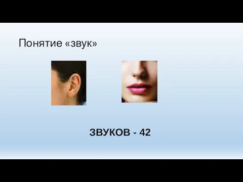 Понятие «звук» ЗВУКОВ - 42