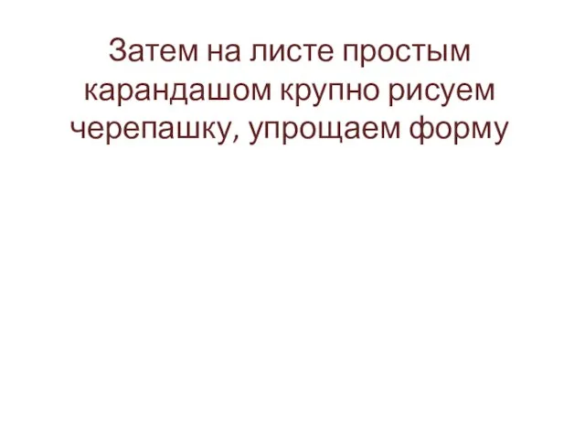 Затем на листе простым карандашом крупно рисуем черепашку, упрощаем форму