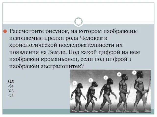 Рассмотрите рисунок, на котором изображены ископаемые предки рода Человек в хронологической