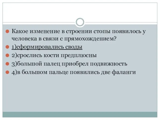 Какое изменение в строении стопы появилось у человека в связи с