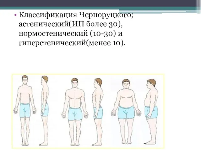Классификация Черноруцкого; астенический(ИП более 30), нормостенический (10-30) и гиперстенический(менее 10).