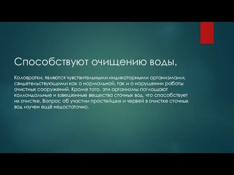 Способствуют очищению воды. Коловратки, являются чувствительными индикаторными организмами, свидетельствующими как о