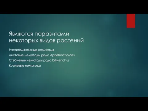 Являются паразитами некоторых видов растений Растительноядные нематоды Листовые нематоды рода Aphelenchoides