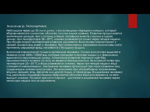 Власоглав (р. Trichocephalus). Небольшие черви до 50 мм в длину, с