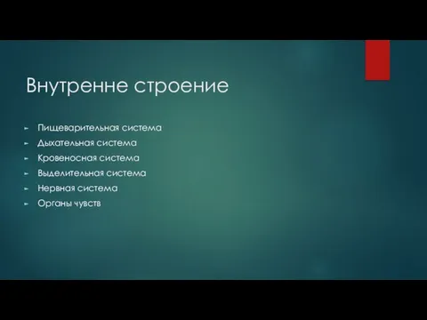 Внутренне строение Пищеварительная система Дыхательная система Кровеносная система Выделительная система Нервная система Органы чувств