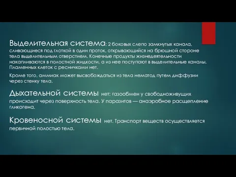 Выделительная система: 2 боковых слепо замкнутых канала, сливающиеся под глоткой в